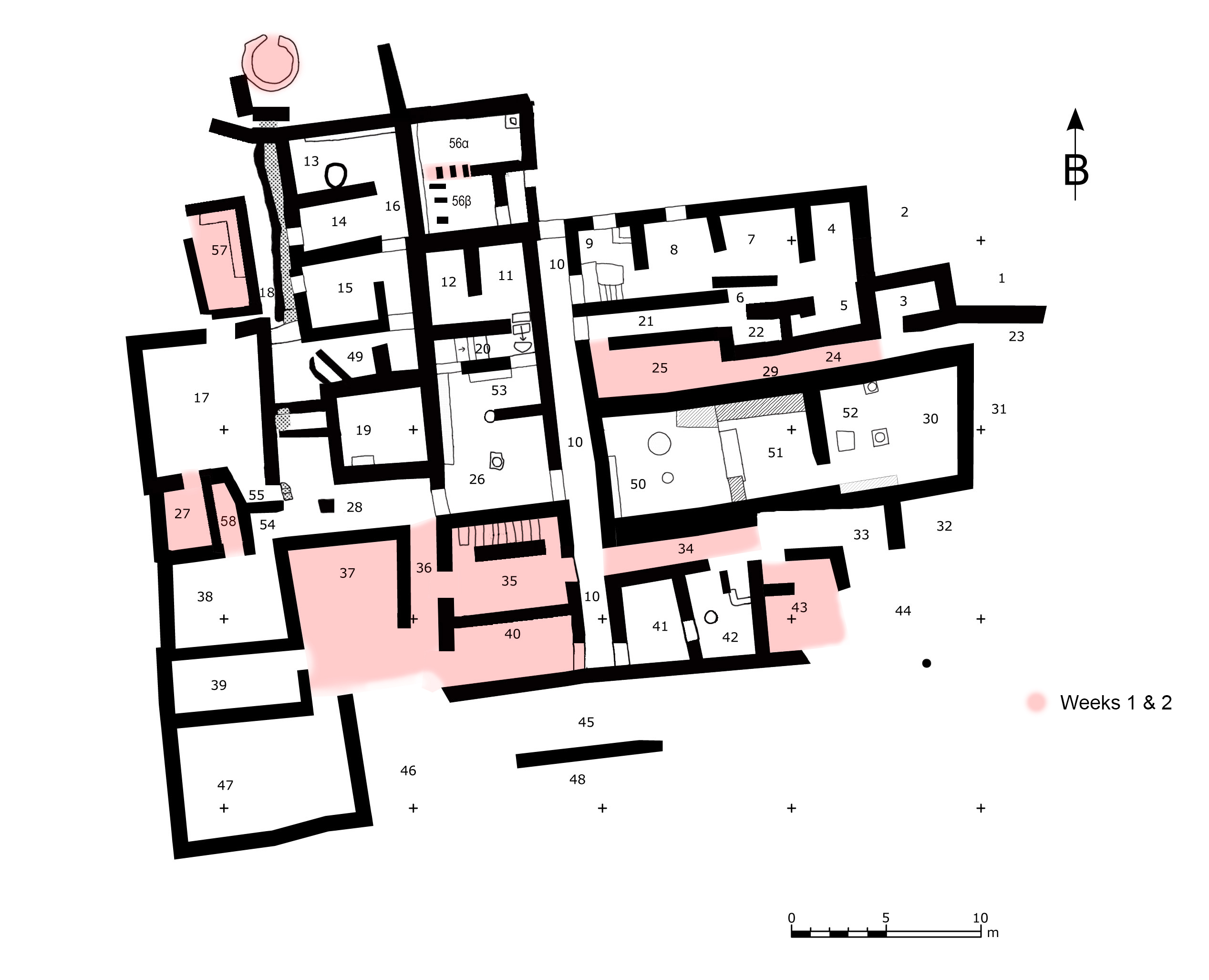 Areas of investigation, Weeks 1 and 2
