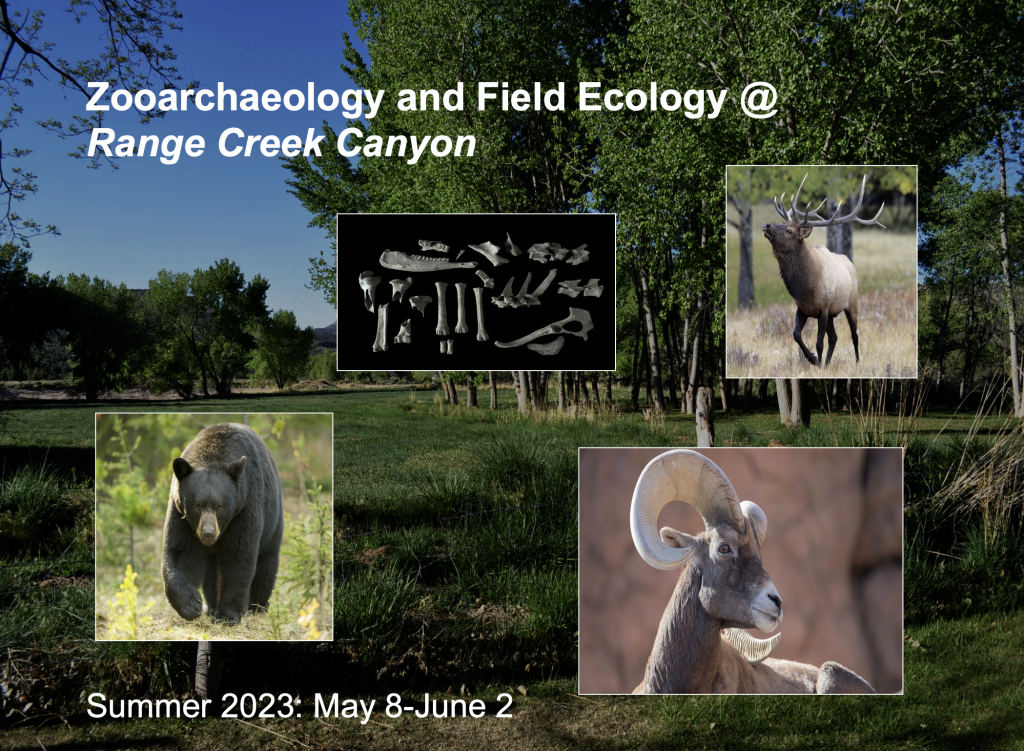 Zooarchaeology and Field Ecology, 2023 Archaeological Fieldwork