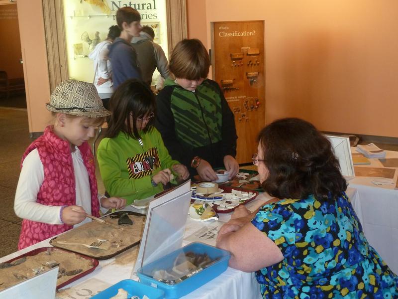The New Hampshire Archaeological Society presents their Sifting Through the Sands of Time activity at the 2013 Archaeology Fair.