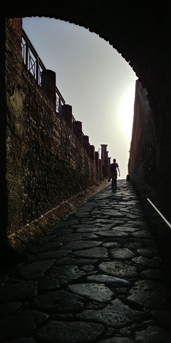 Interactive Digs Life in the Field Archaeological Institute of America