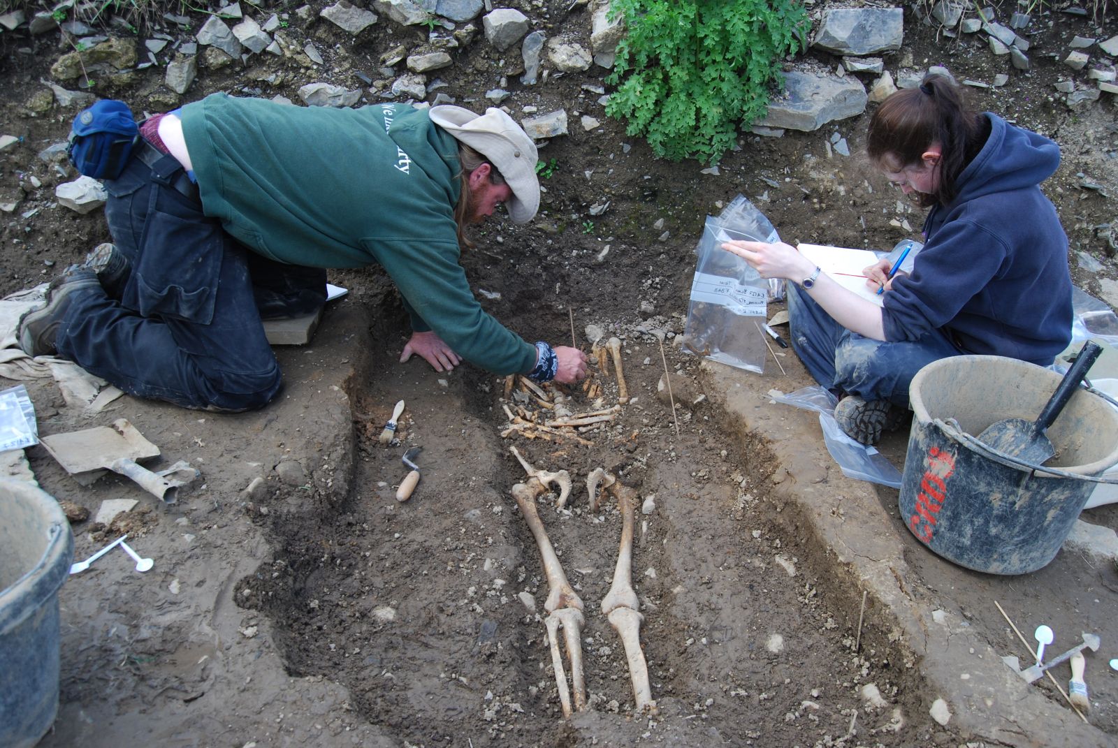 Interactive Digs Working in the Field at Blackfriary Archaeological