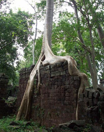 Banteay Chhmar