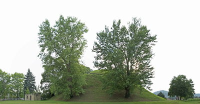 Grave Creek Mound Archaeological Complex