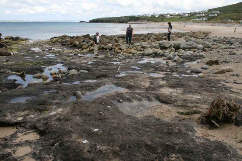 AAFS students surveying the stakes in July 2015, with the location of each stake marked with a white tag. The area of cleared boulders can clearly be seen.