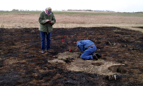 MWAC archaeologists at the Knife River excavation