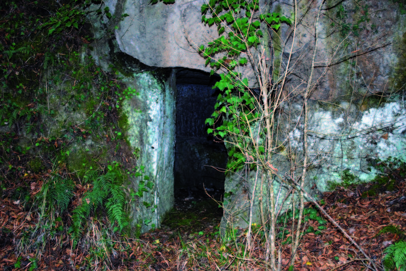 Monumental tombs at La Petrina, Narce (Photo: Jacopo Tabolli)