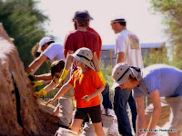 Central Arizona AIA volunteers helping our Mudslingers with platform mound preservation during last year's National Archaeology Day.