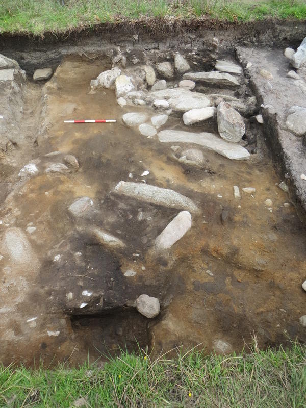 The pit cluster in the centre of Quadrant 4 after it was cleaned and prior to beginning the delicate task of excavation