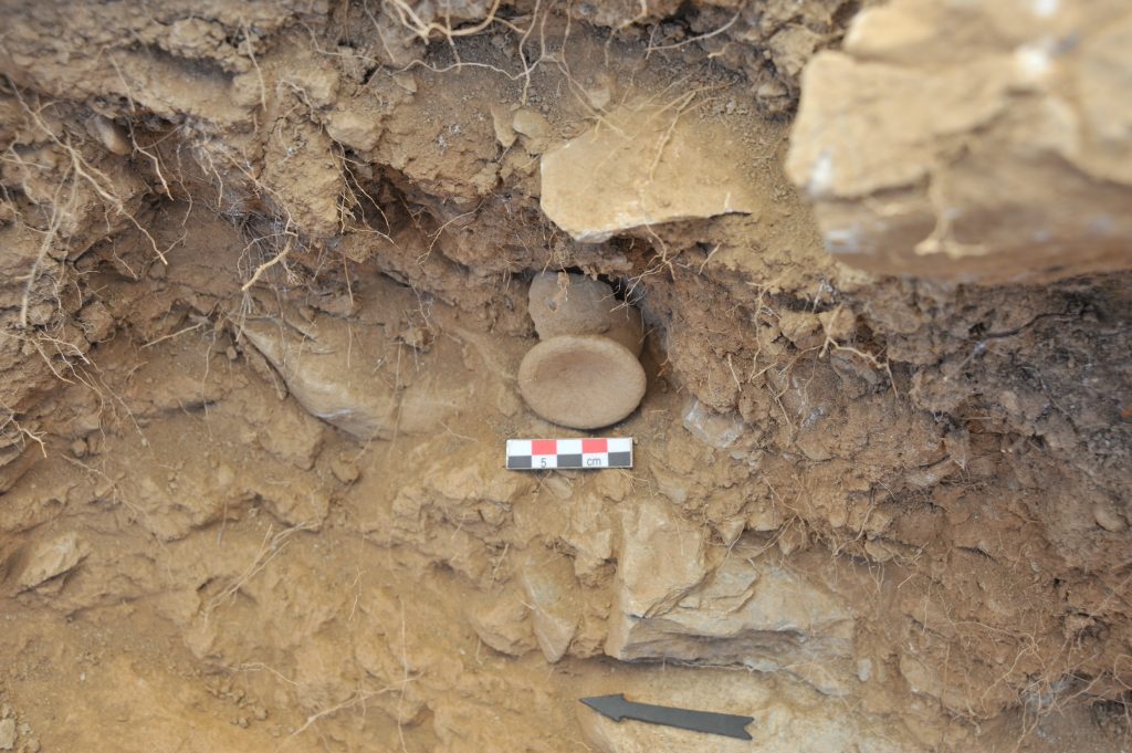 Parts of two eggcups in the area south of Area 32