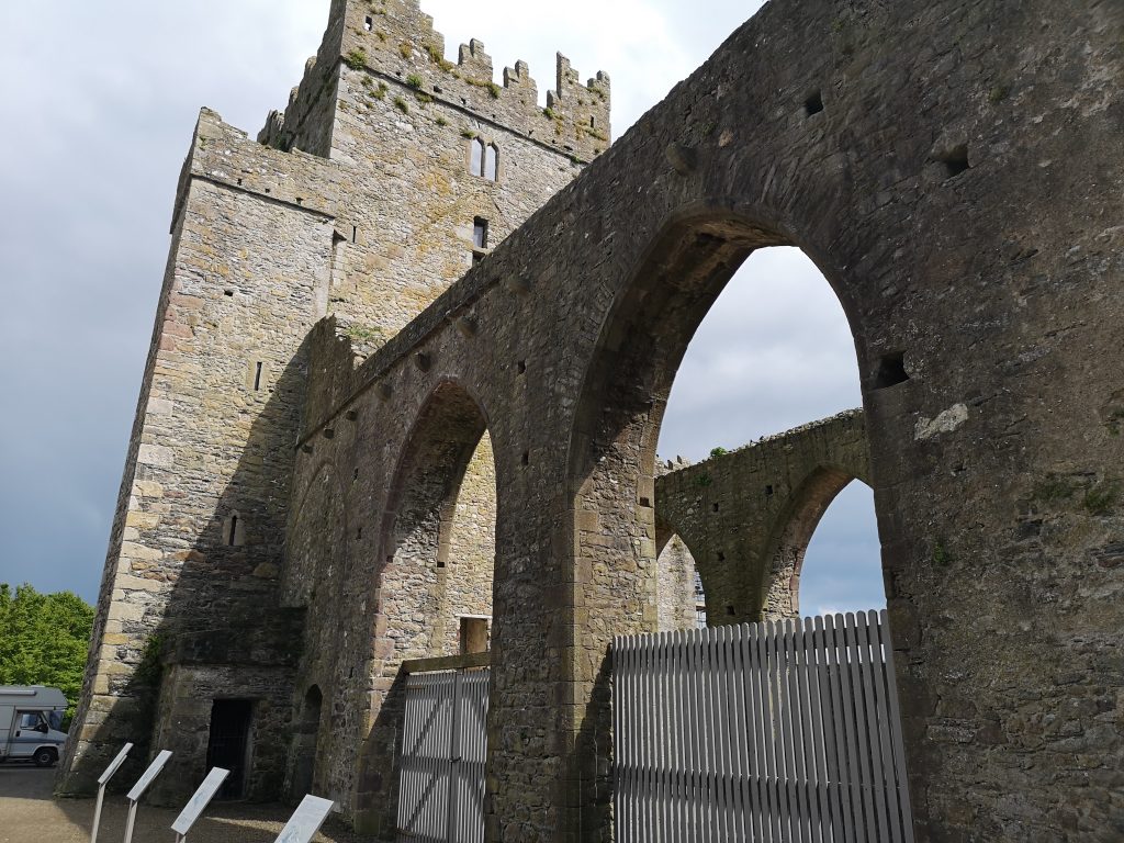 Ferrycarrig Cultural Trips – Summer 2019