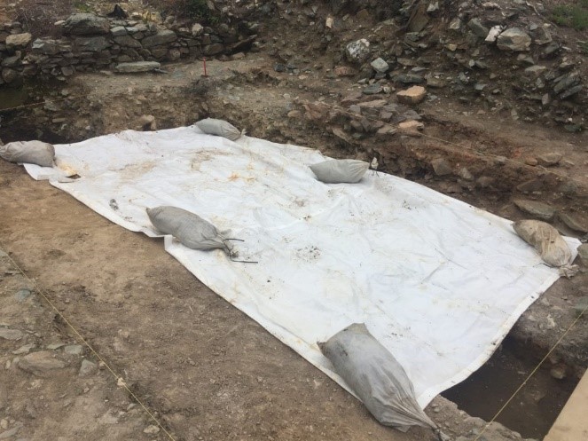 Ferrycarrig Cutting 1 Excavations – June and July 2019