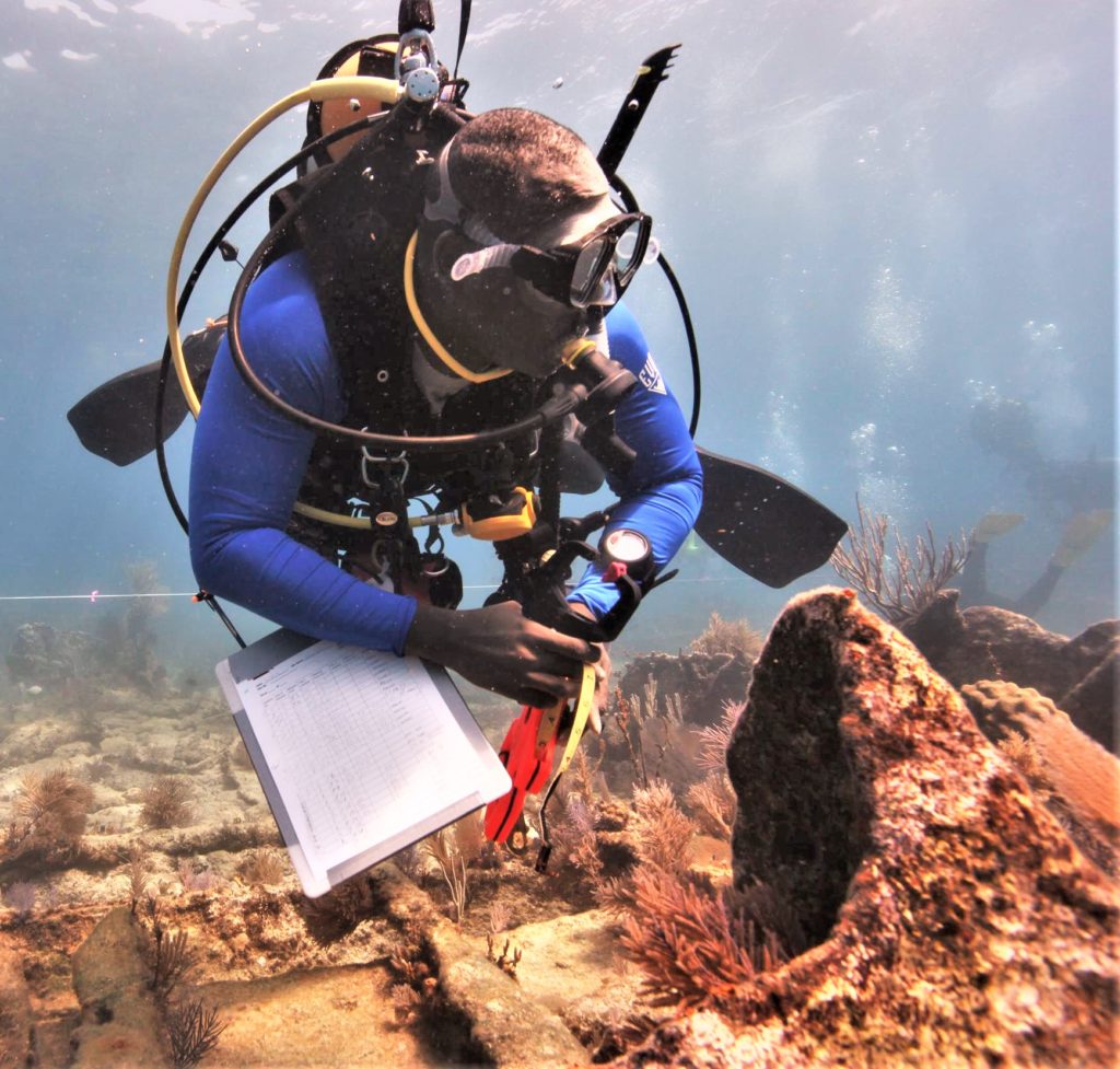 AIA Event Listings Diving with a Purpose A FifteenYear Odyssey