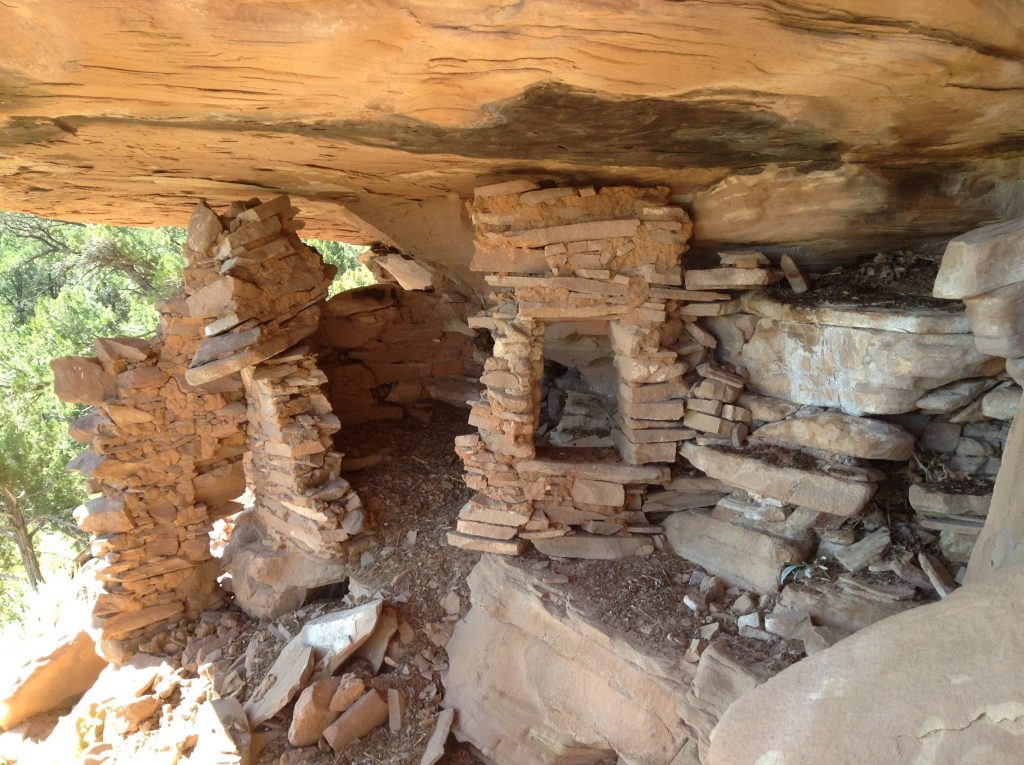 Twin Kivas Site, Bears Ears National Monument 