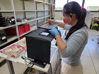 Megan photographing skeletal remains from 2008 assemblage after cleaning and completing an inventory form. (Photo credits images: Alansa Allen